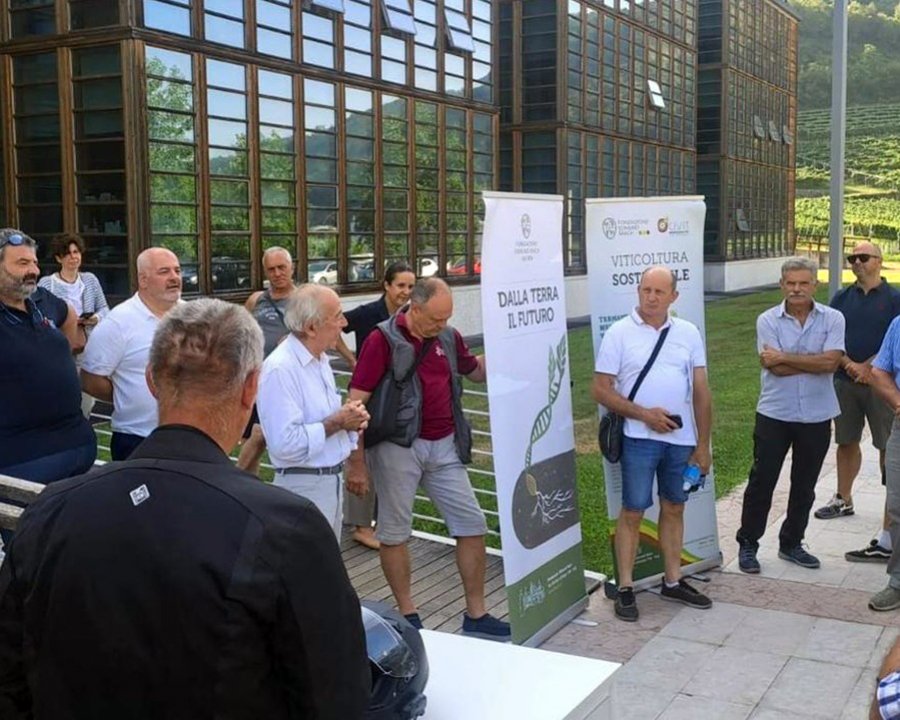 Vitigni sostenibili e innovativi, in 100 alla scoperta del mondo PIWI