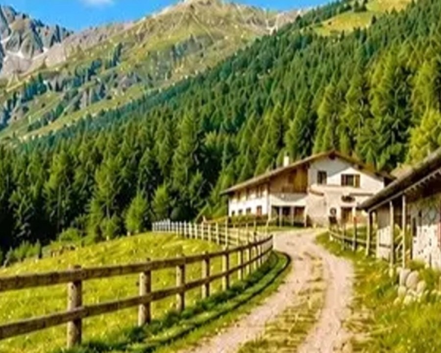 Un contributo per la malga di Revò
