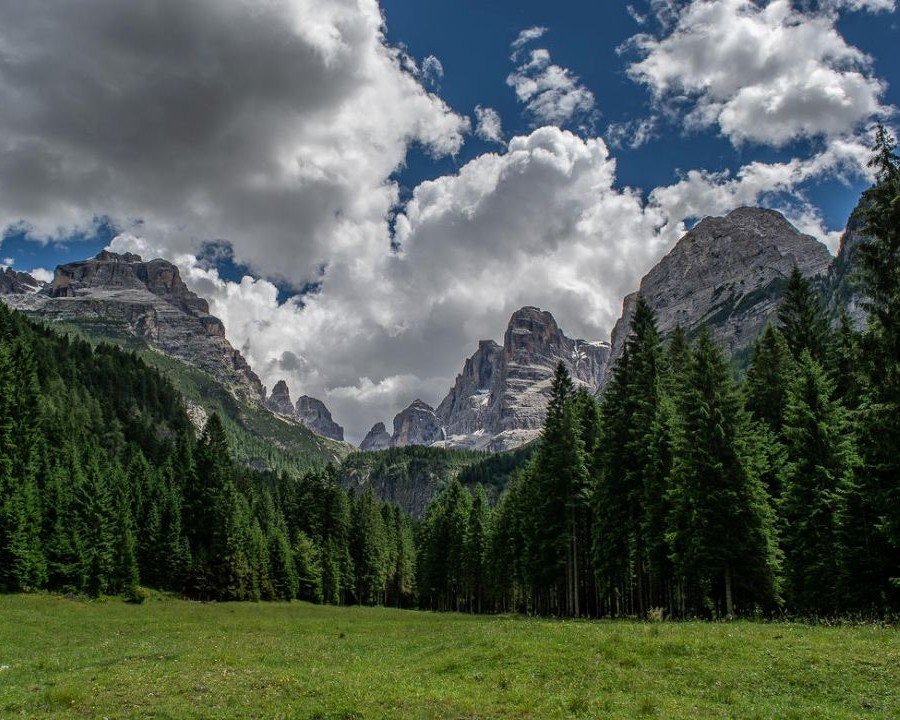 Superpark parte dalla Val Meledrio: visioni d’autore nel cuore del Parco Adamello Brenta