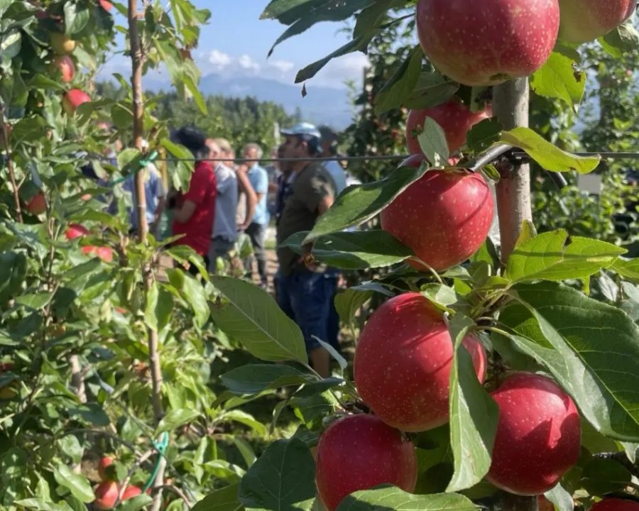 A Denno la giornata frutticola