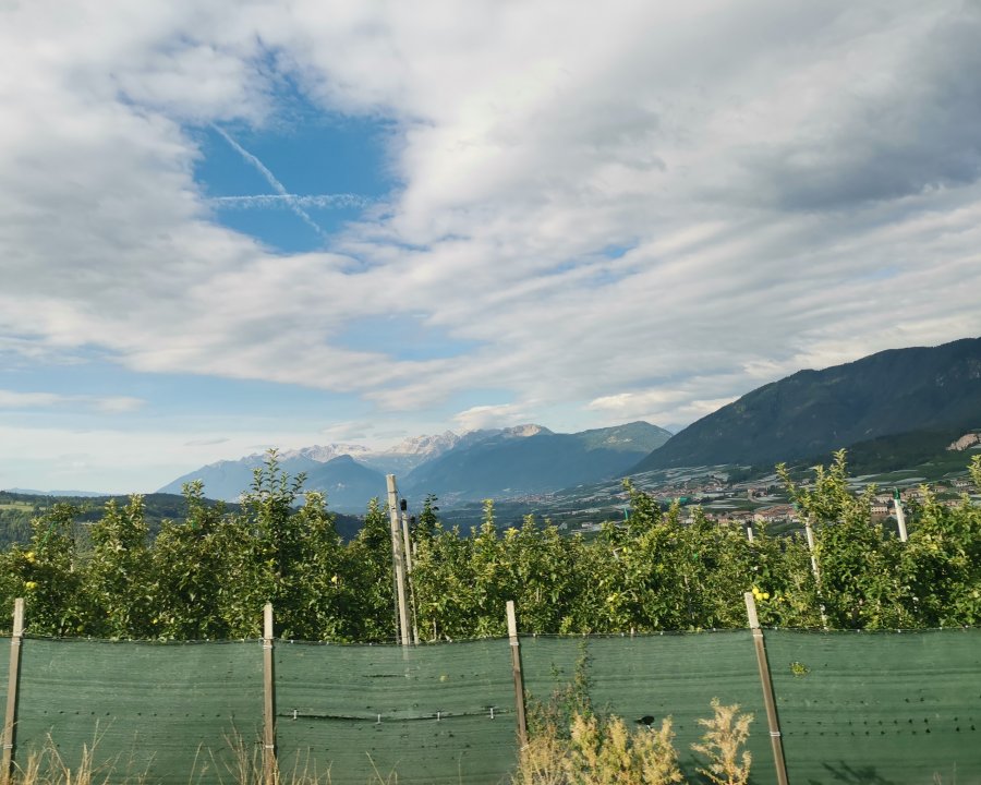 Meteo, una settimana in altalena