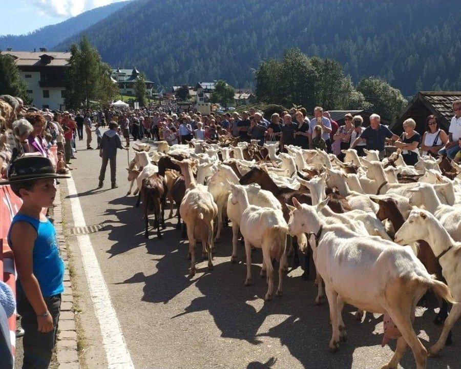 La Val di Peio celebra la tradizione agricola