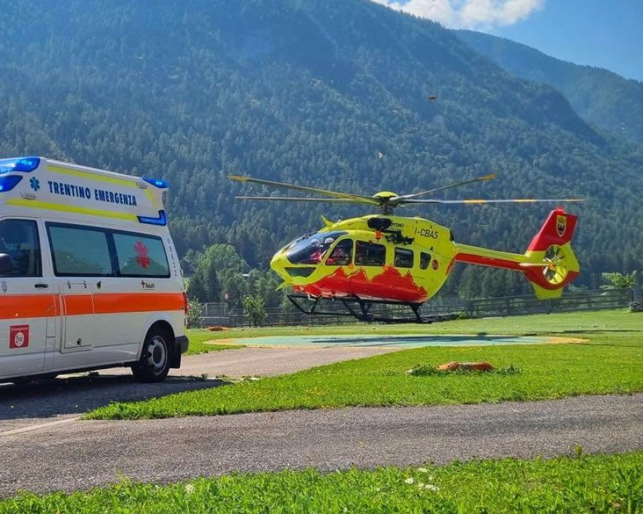 Novella, incidente nel bosco