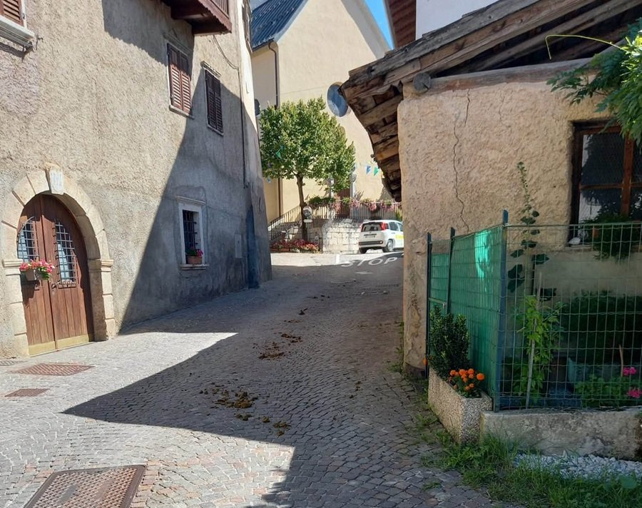 Il paese non è una stalla
