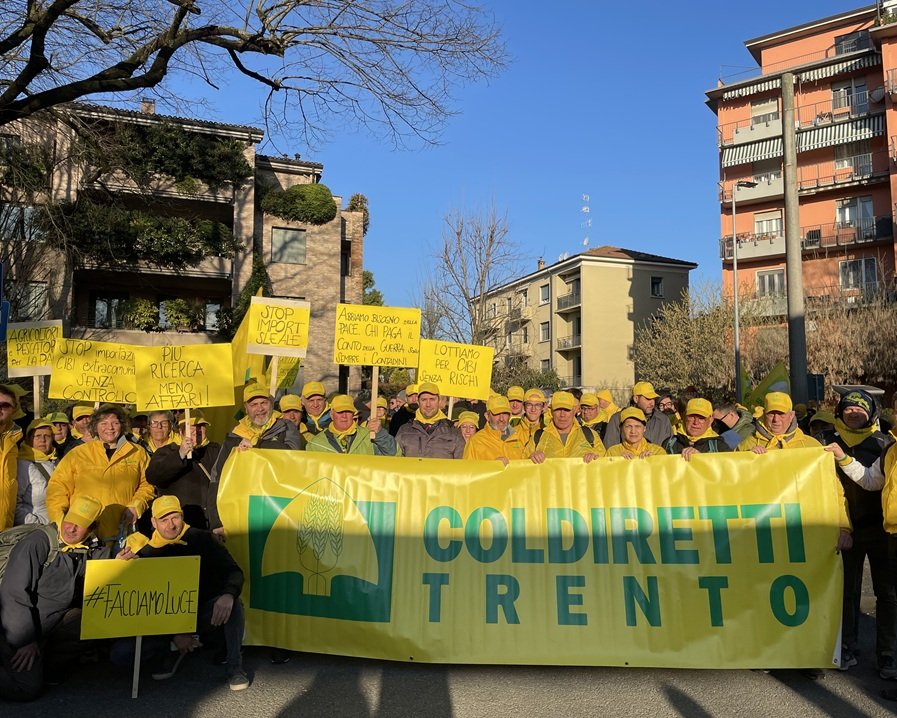 Cibi da laboratorio: uno studio della Cattolica conferma criticità per la salute dei cittadini