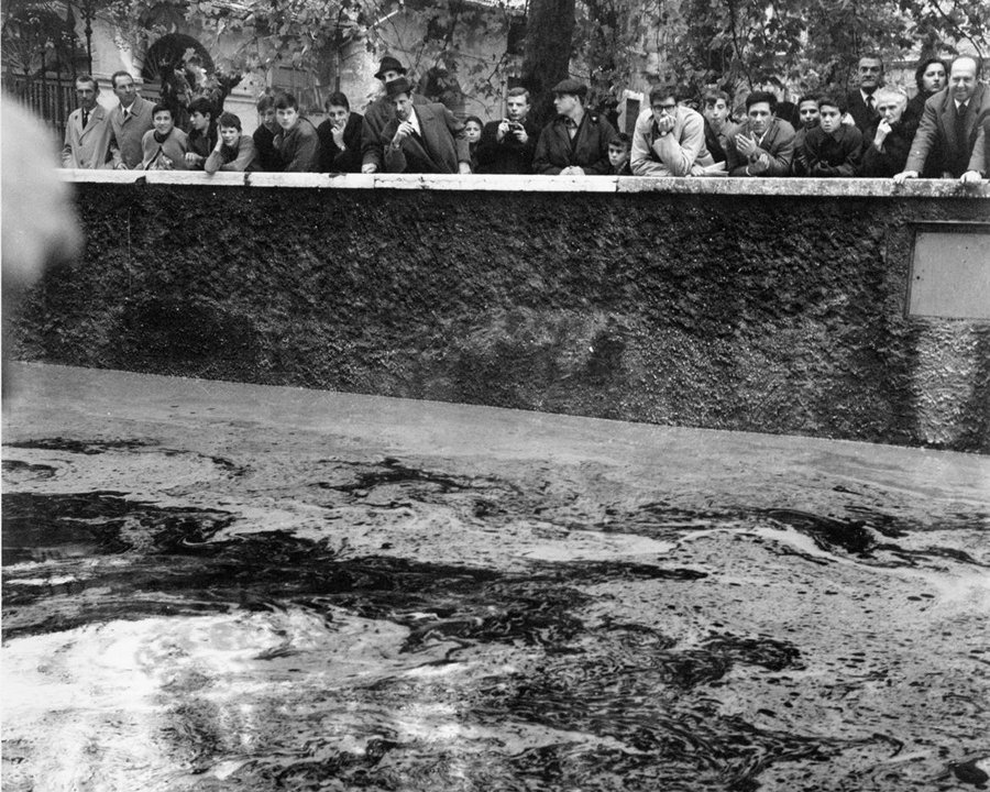 Rischio alluvionale: dal Trentino parte il progetto Arge Alp con al centro la consapevolezza della popolazione
