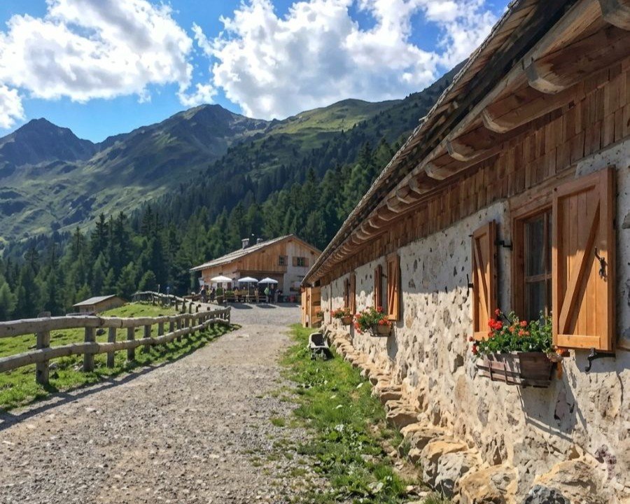 Cinque aziende agricole premiate per l’alpeggio alla Malga di Revò