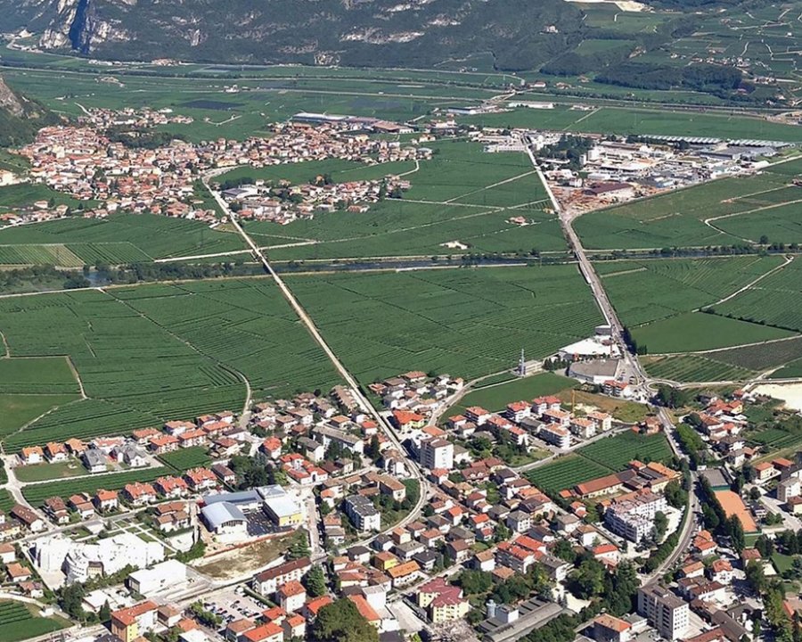 Fragole rosse nel Sudtirolo occupato dai nazisti